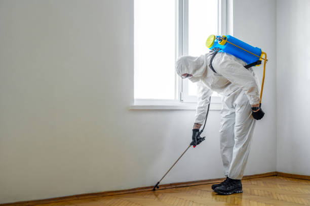 Best Real Estate Pest Inspections  in Nuevo, CA